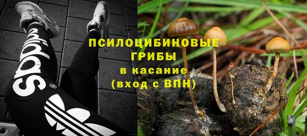 ГАЛЛЮЦИНОГЕННЫЕ ГРИБЫ Каменногорск