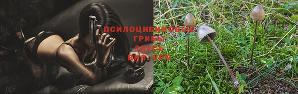 ГАЛЛЮЦИНОГЕННЫЕ ГРИБЫ Каменногорск