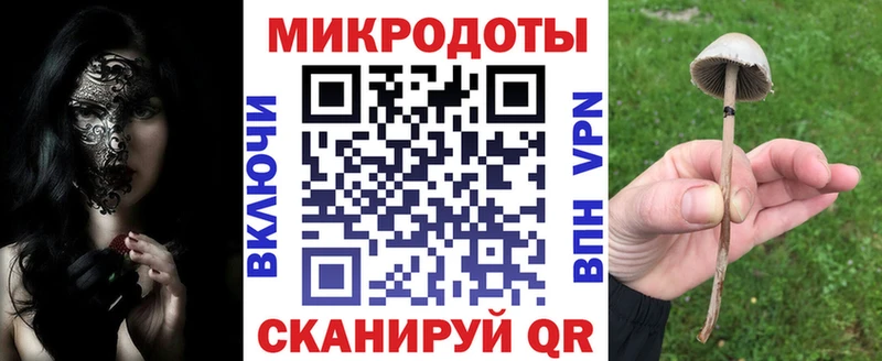 Псилоцибиновые грибы мухоморы Купить закладки Сальск