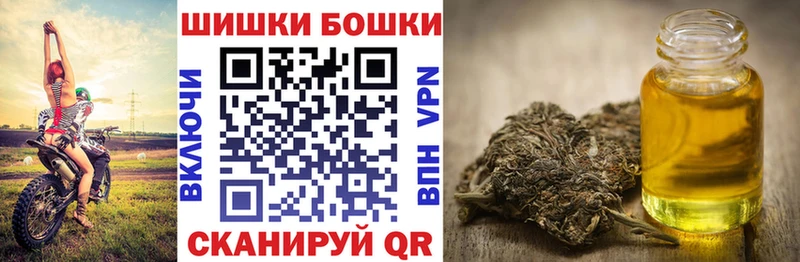 Купить где Сальск Шишки марихуана план